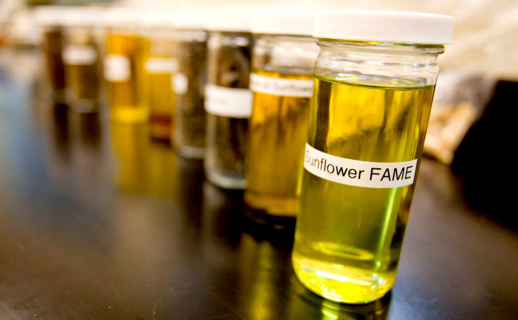 Live material and energy balance for technology licensors of biofuel processes - business case