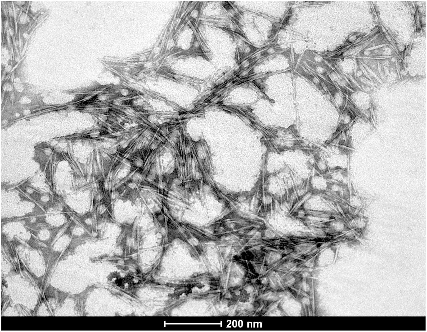 Nanocellulose production sample application